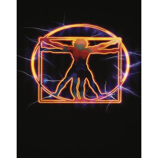 Leonardo Da Vinci Vitruvian Man