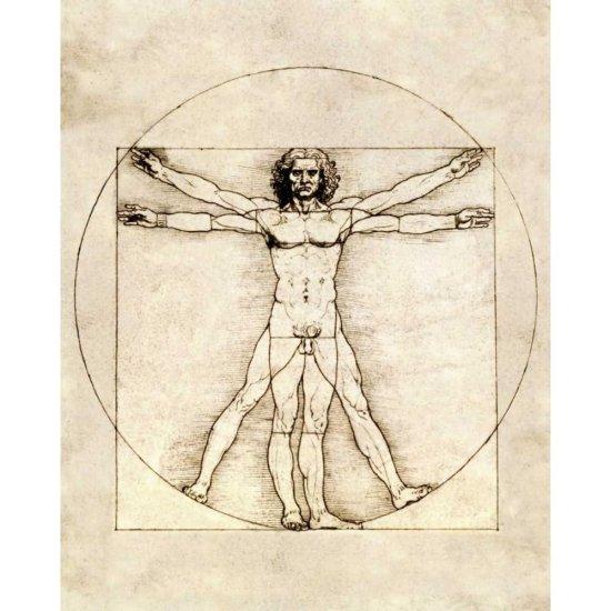 Leonardo Da Vinci Vitruvian Man