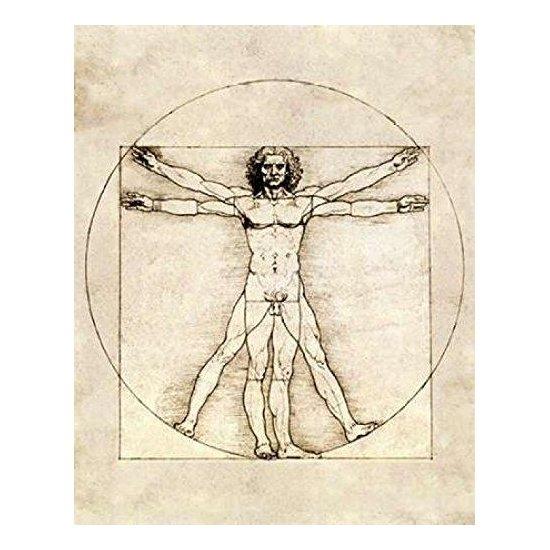 Leonardo Da Vinci Vitruvian Man