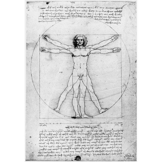 Leonardo Da Vinci Vitruvian Man