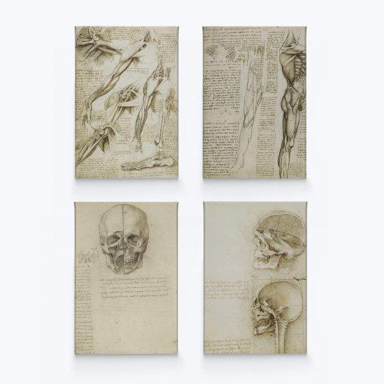Leonardo Da Vinci'nin En Önemli Eserleri