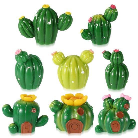 Mini Kaktüsler