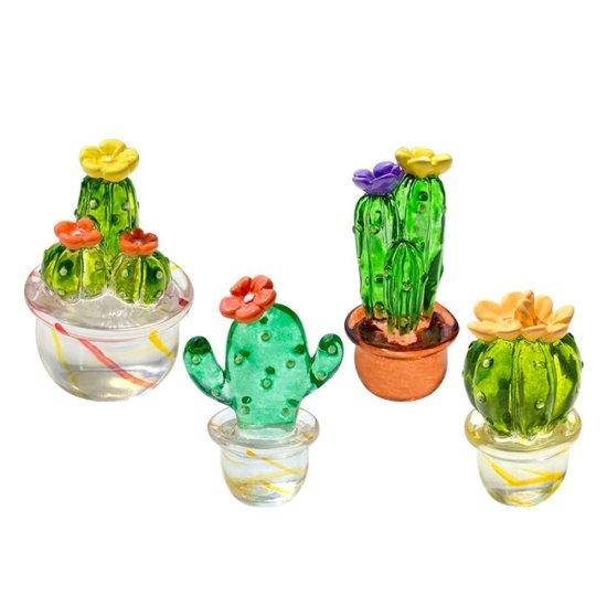Mini Kaktüsler