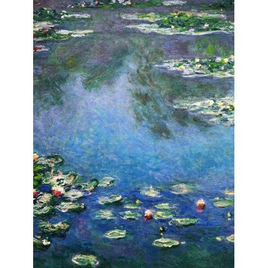 Monet Nilüferler