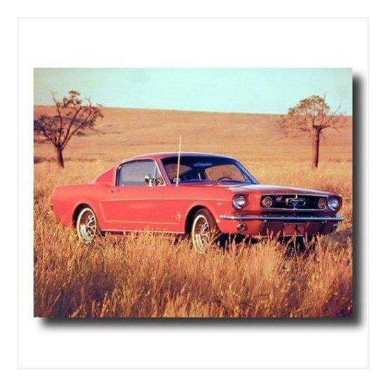Mustang 1965 Kanvas Tablo