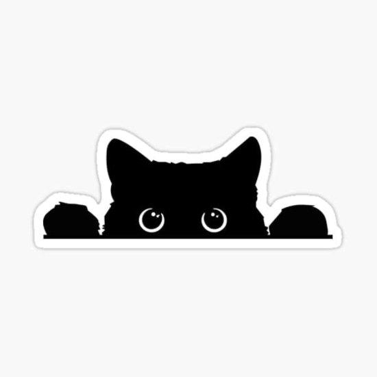 Notebook Sticker