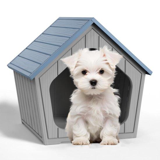Plastik Köpek Kulübesi