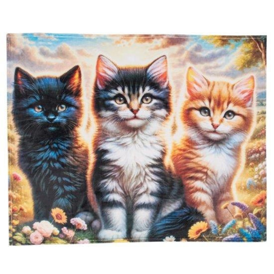 Polar Tv Battaniyesi