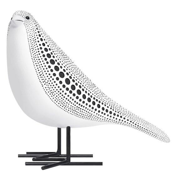 Polyester Biblo