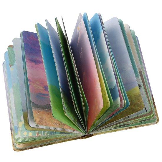 Renkli Defter