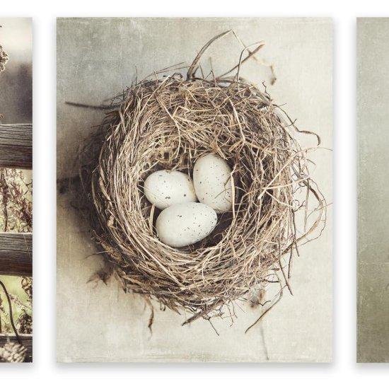 Sanatsal Fotoğraflar