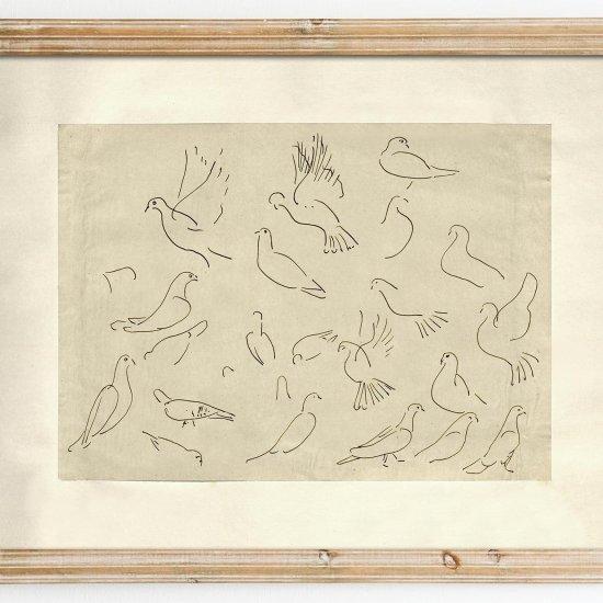 Sanatsal Fotoğraflar