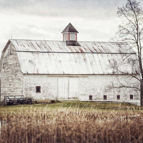 Sanatsal Fotoğraflar