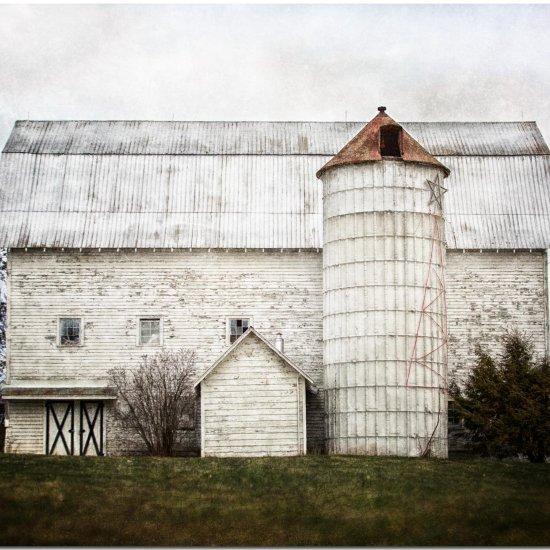 Sanatsal Fotoğraflar