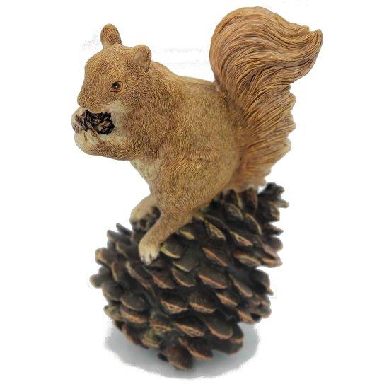 Sincap Biblo