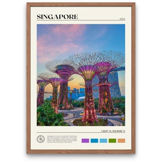 Singapur Şehir