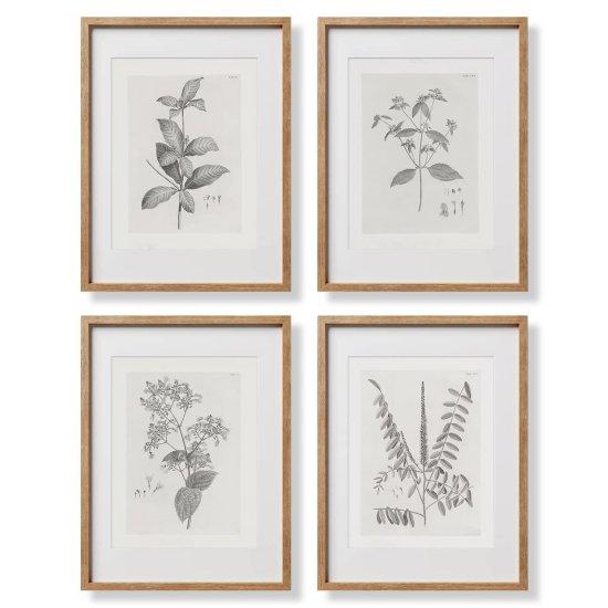 Siyah Beyaz Fotoğraf