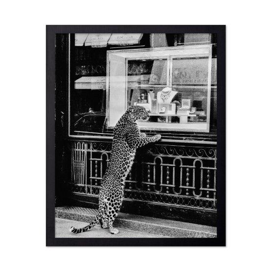 Siyah Beyaz Fotoğraf