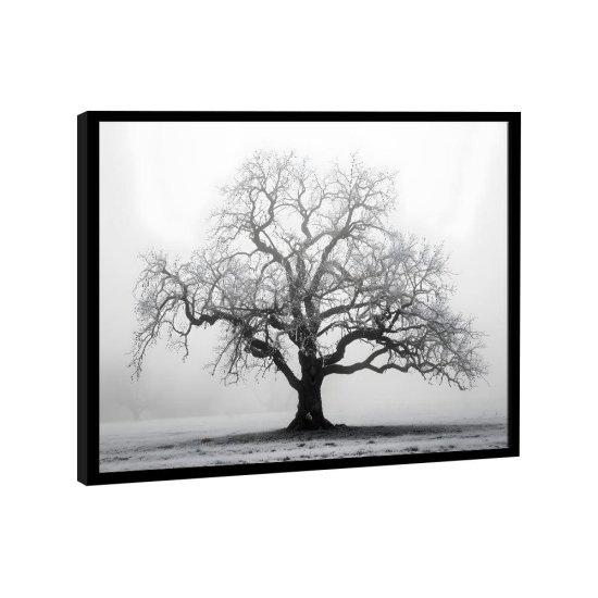 Siyah Beyaz Fotoğraf