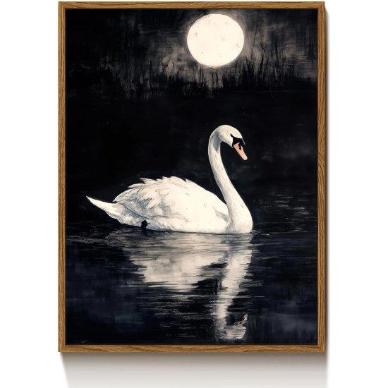 Siyah Beyaz Fotoğraf