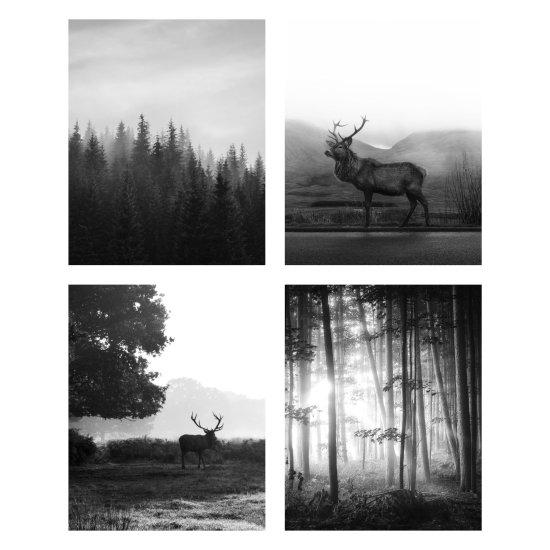 Siyah Beyaz Fotoğraf