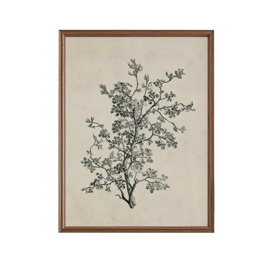 Siyah Beyaz Resimler