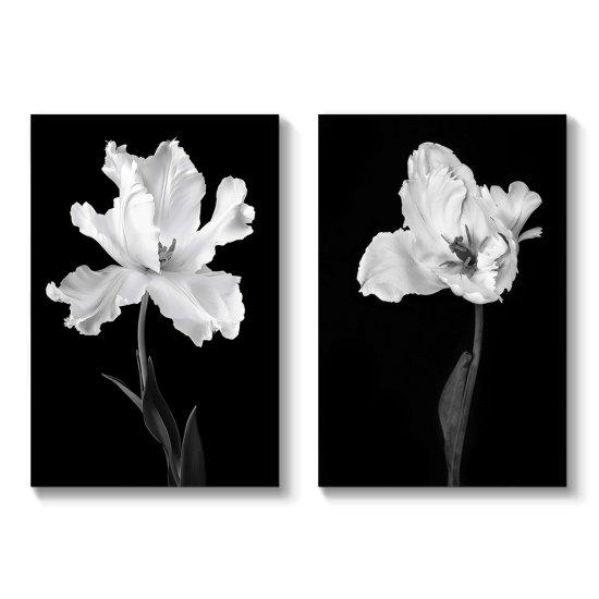 Siyah Beyaz Resimler