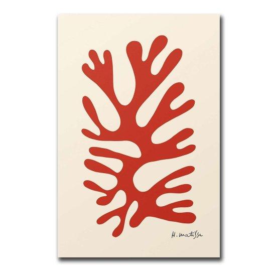 The Dessert Harmony İn Red