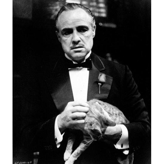 The Godfather Marlon Brando