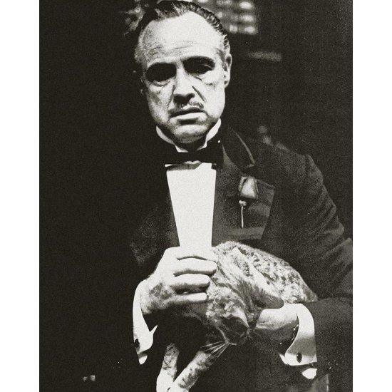 The Godfather Marlon Brando