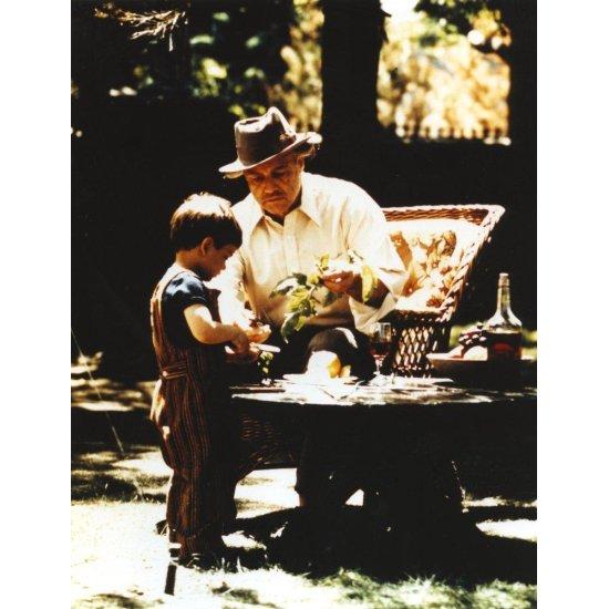 The Godfather Marlon Brando