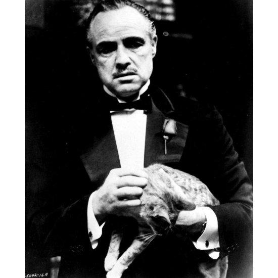 The Godfather Marlon Brando