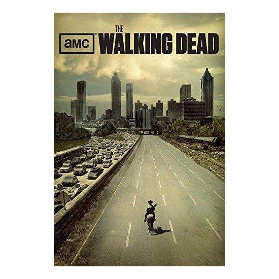 The Walking Dead Poster