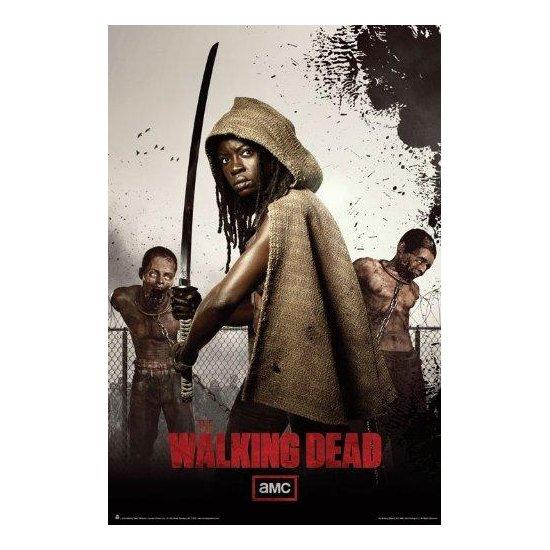 The Walking Dead Poster