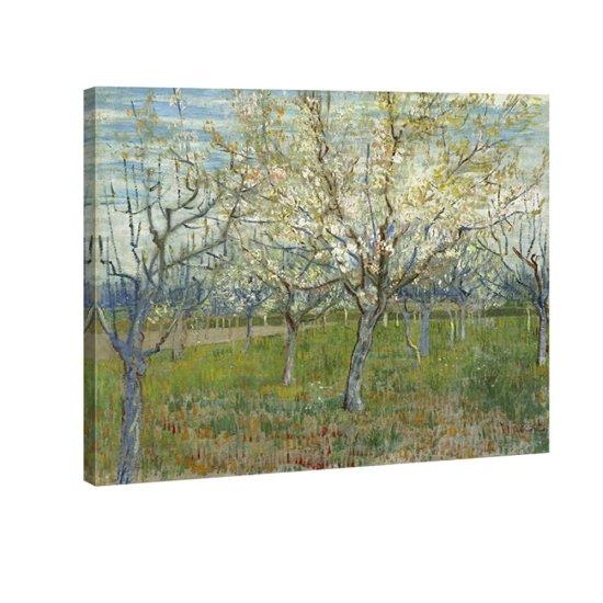 Van Gogh Zeytin Ağaçları Tablosu