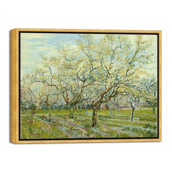 Van Gogh Zeytin Ağaçları Tablosu