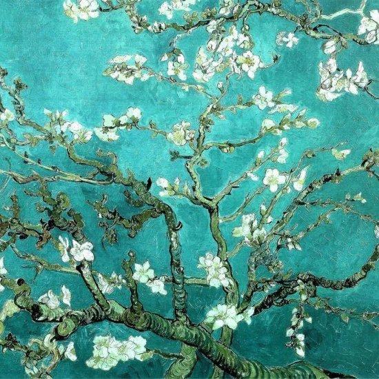 Vincent Van Gogh Almond Blossom