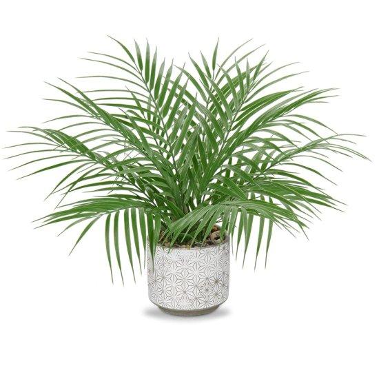 Yapay Saksılı Ağaç