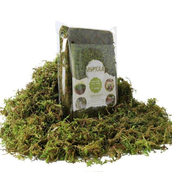 Yapay Saksılı Ağaç