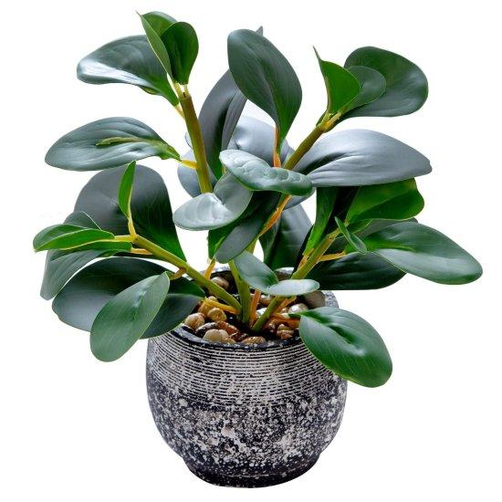 Yapay Saksılı Ağaç