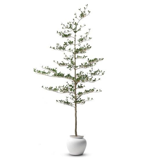 Yapay Saksılı Ağaç