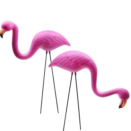 Beyaz Flamingo