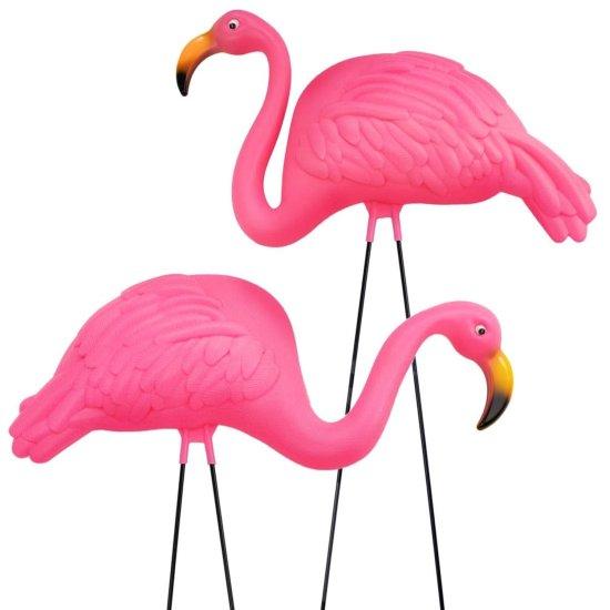 Beyaz Flamingo