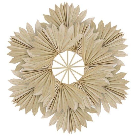 Kuru Palmiye Yaprağı