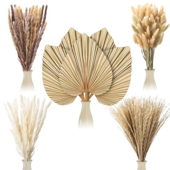 Kuru Palmiye Yaprağı