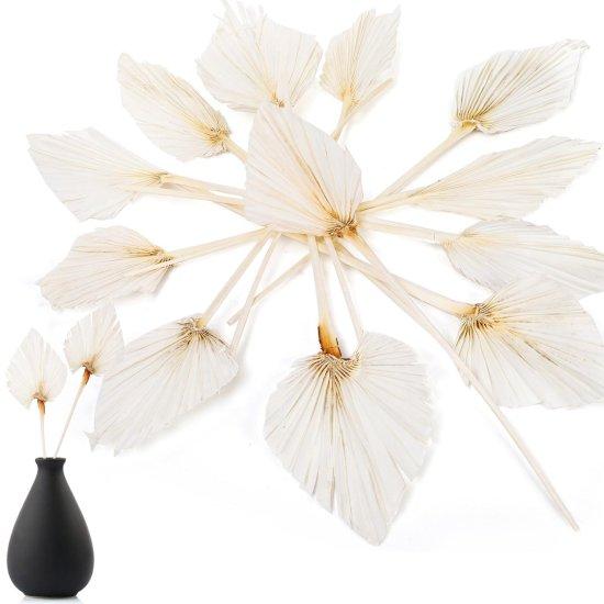 Kuru Palmiye Yaprağı