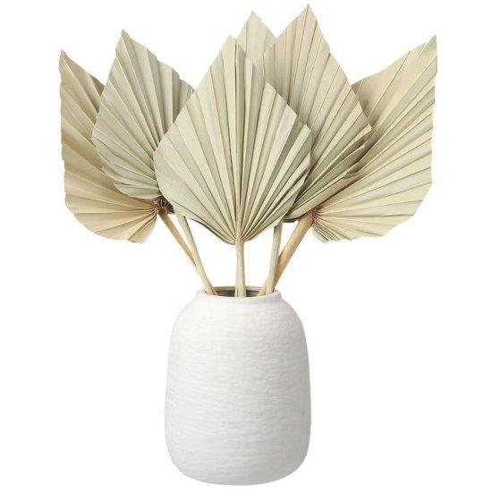 Kuru Palmiye Yaprağı