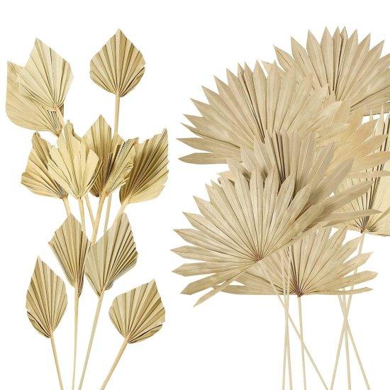 Kuru Palmiye Yaprağı