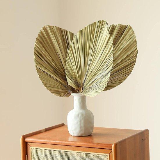 Kuru Palmiye Yaprağı