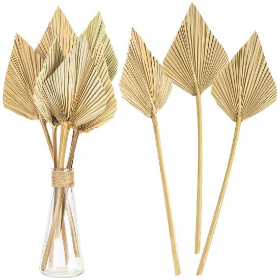 Kuru Palmiye Yaprağı